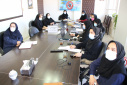 وبینار استانی سلامت نوزادی، سالن جلسات مرکز بهداشت استان مرکزی، ۲۲ اسفند ماه