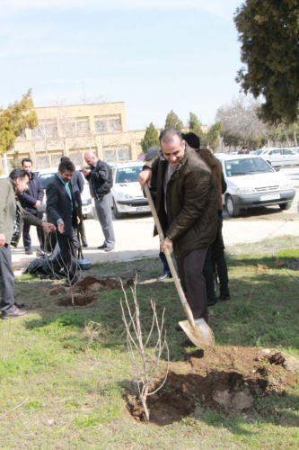 کاشت درخت بمناسبت هفته درختکاری توسط پرسنل مرکز بهداشت استان مرکزی، ۲۲ اسفند ماه
