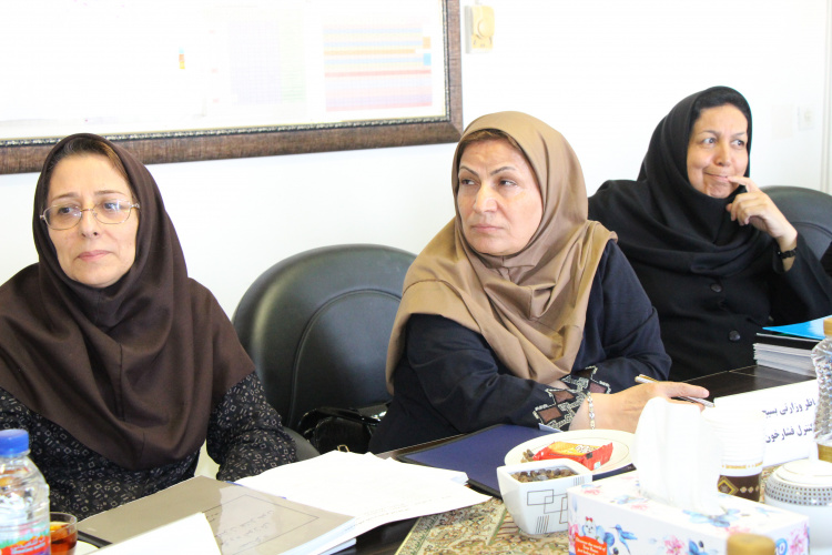 جلسه بازدید ناظر وزارتی از چگونگی اجرای برنامه بسیج ملی کنترل فشار خون بالا در استان مرکزی، ۵ تیر ماه