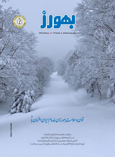 الکترونیکی شدن فصلنامه بهورز