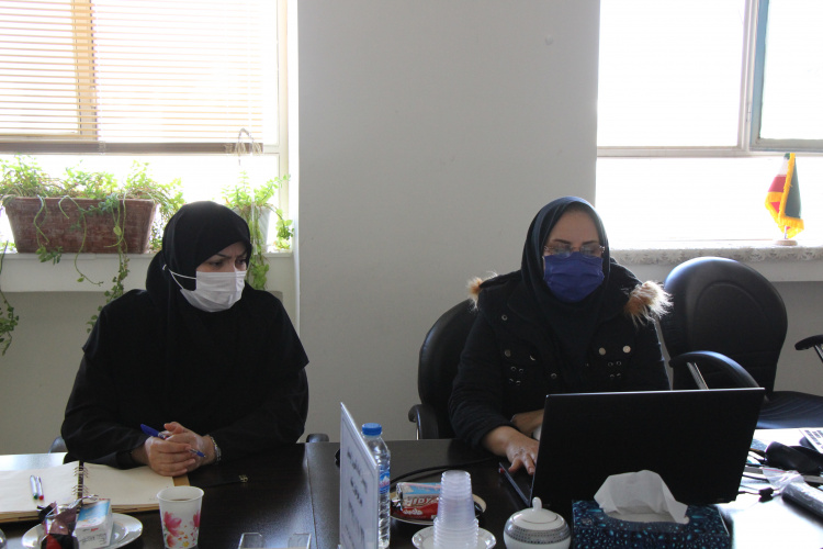 وبینار آمادگی زایمان فیزیولوژیک، سالن جلسات مرکز بهداشت استان مرکزی، ۲۹ بهمن ماه