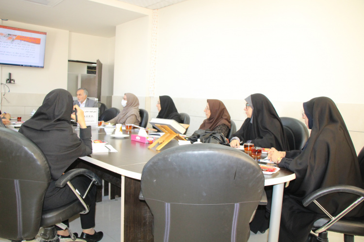 کمیته استانی ازدواج، سالن جلسات مرکز بهداشت استان مرکزی، ۳۰ خرداد ماه