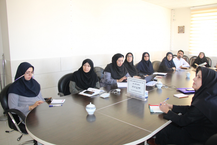 برگزاری جلسه مجازی اجرای برنامه پیشگیری وکنترل سرطان دهانه رحم