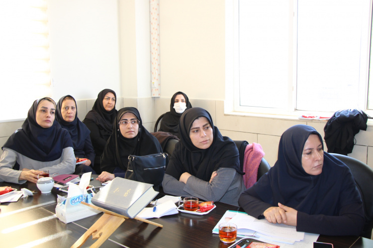 کمیته مرگ مادر باردار در اثر قتل برگزار شد