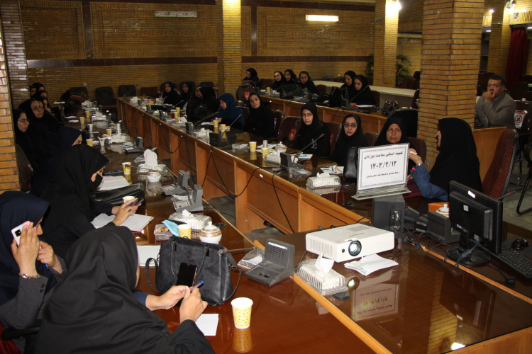 کمیته استانی سلامت نوزادان