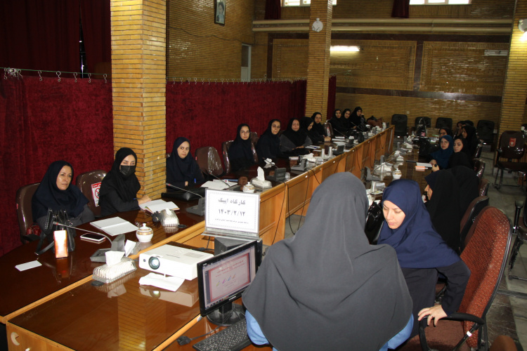 کارگاه بهبود کیفیت مبتنی بر شواهد مراقبت‌ ها و پیامدهای نوزادی بر اساس ۱۰ گام EPIQ