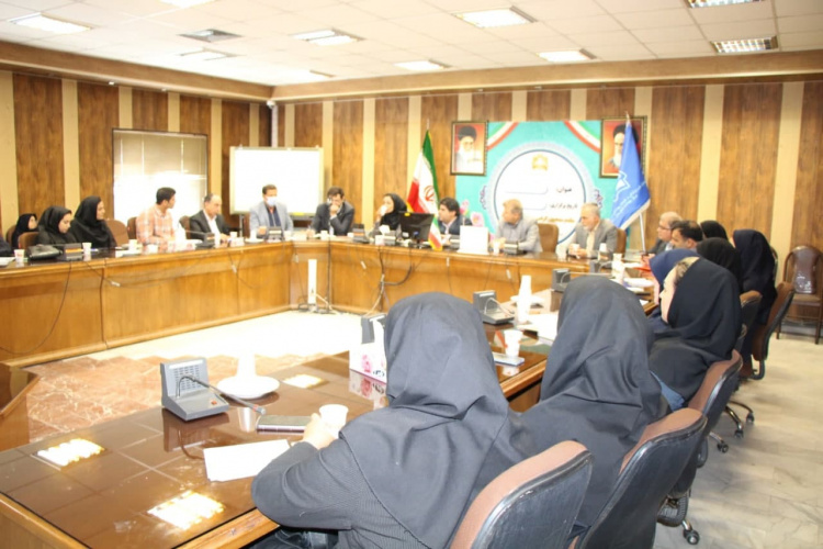 نشست تخصصی سلامت روان در دومین روز سفر تیم وزارت بهداشت به استان مرکزی برگزار شد